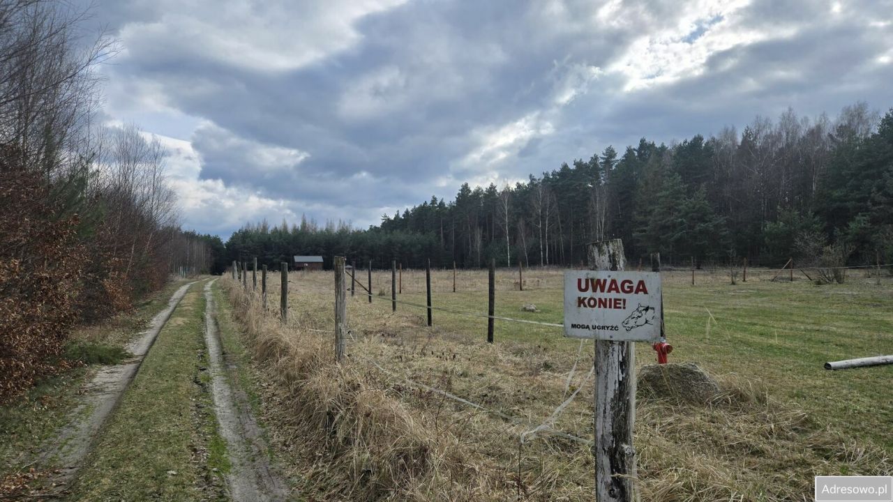 Działka rekreacyjna Leśna, ul. Letniskowa. Zdjęcie 4
