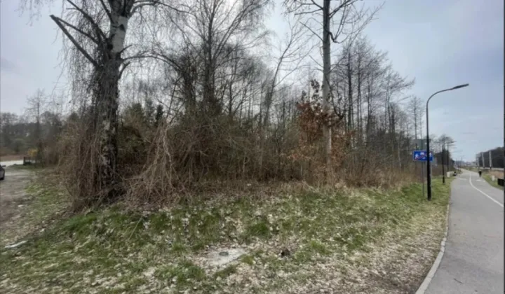 Działka budowlana Rybnik Niedobczyce, ul. Ludwika Zamenhofa