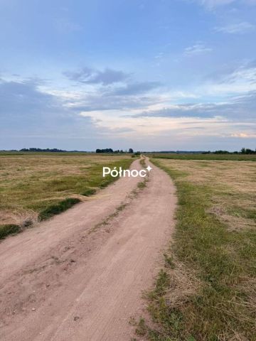 Działka rolna Krzewo. Zdjęcie 10