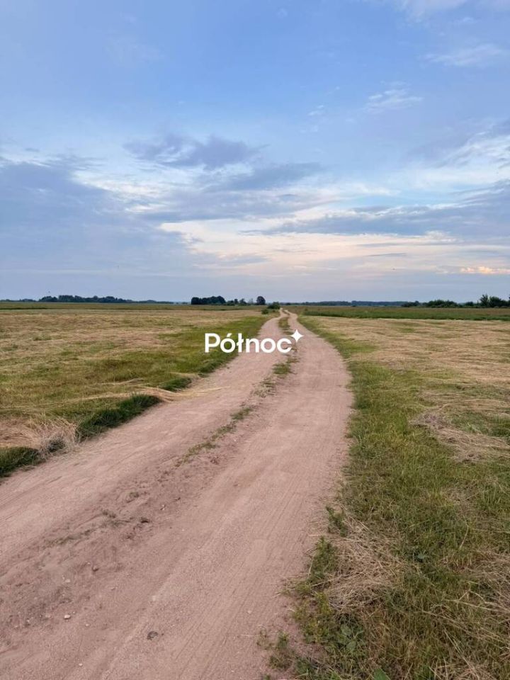 Działka rolna Krzewo. Zdjęcie 10