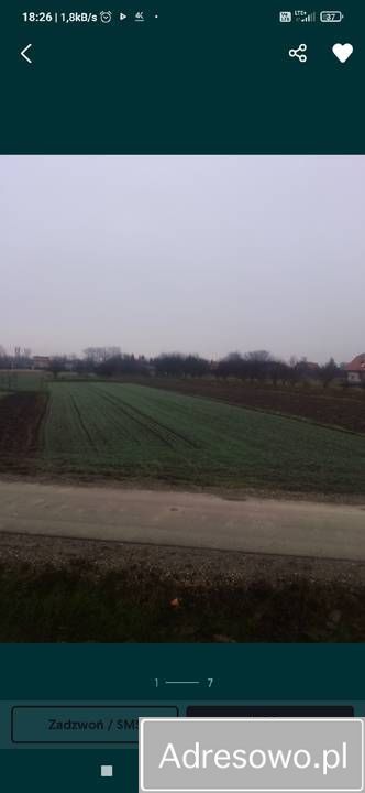 Działka rolno-budowlana Gorliczyna. Zdjęcie 6