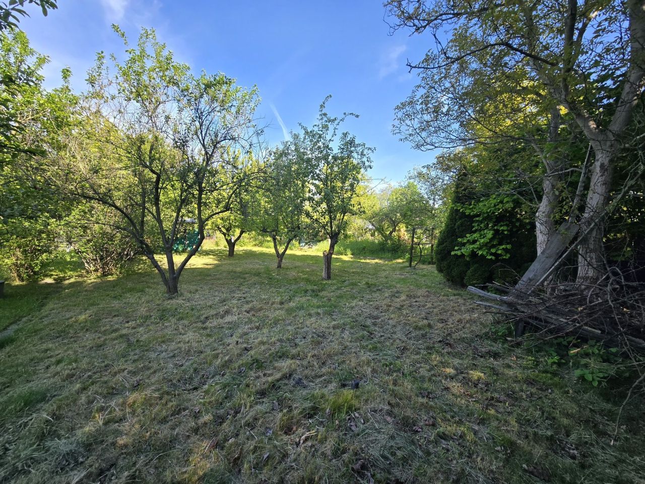 Działka rod Świdnica. Zdjęcie 3