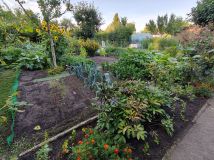 Działka rod Nowa Sól. Zdjęcie 3