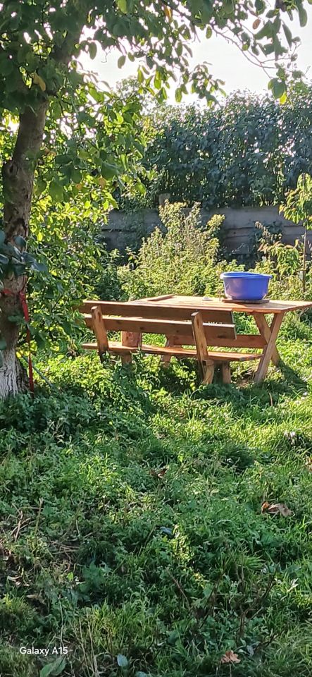 siedlisko, 3 pokoje Szonowo Szlacheckie. Zdjęcie 2