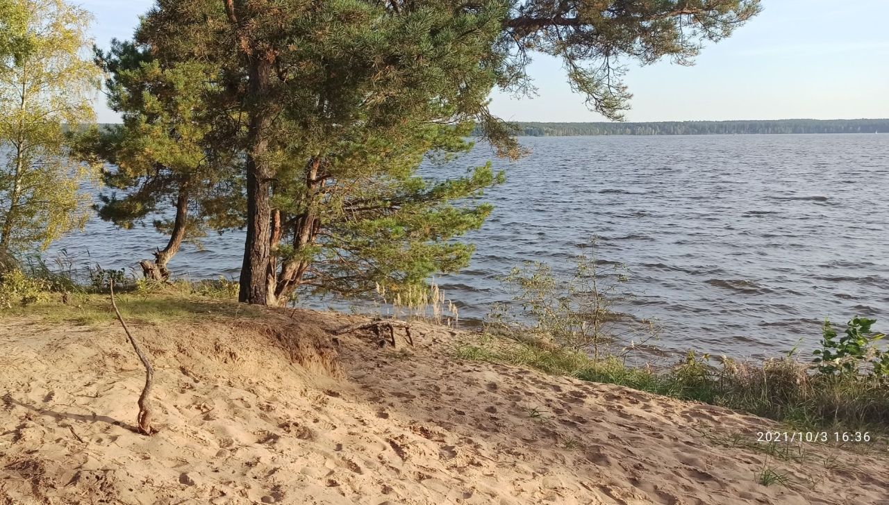 Działka leśna Swolszewice Duże, ul. Kryształowa. Zdjęcie 5