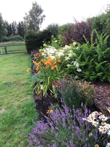 Działka rolna Karwieńskie Błoto Drugie, ul. Wczasowa. Zdjęcie 1