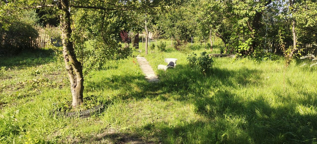 Działka rod Kielce. Zdjęcie 4