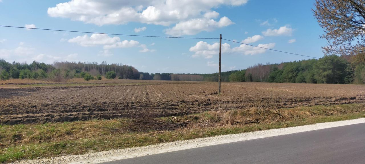 Działka rolna Przerąb. Zdjęcie 4