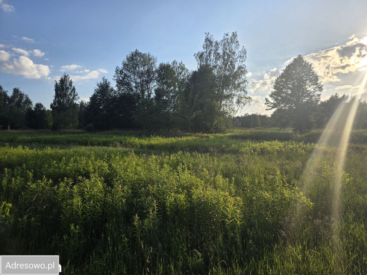 Działka inwestycyjna Wola Karczewska. Zdjęcie 11