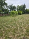 Działka rod Słupsk, al. 3 Maja. Zdjęcie 1