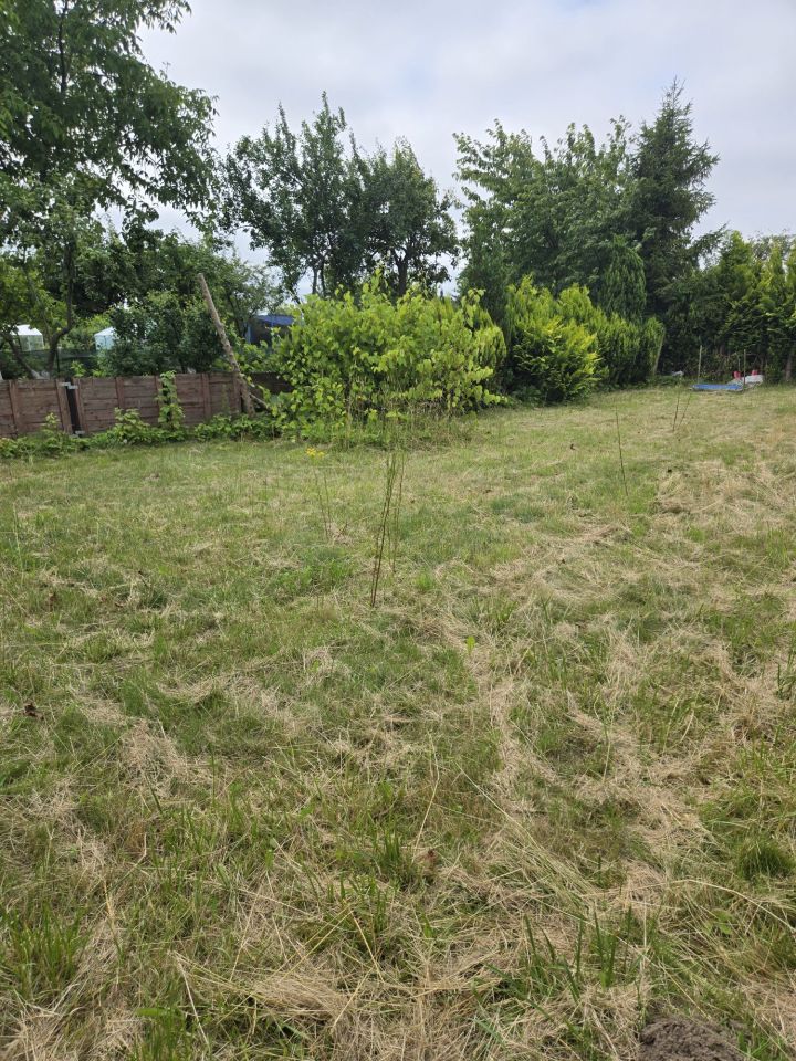 Działka rod Słupsk, al. 3 Maja. Zdjęcie 2