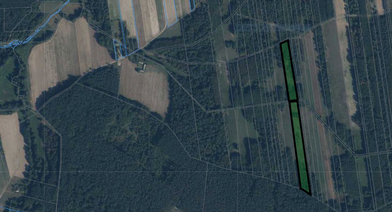 Działka leśna Józefów. Zdjęcie 4