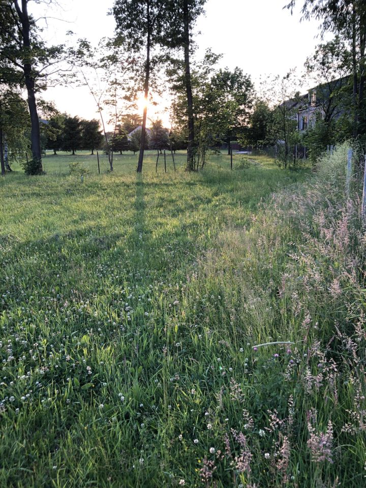 Działka budowlana Podchojny Polesie. Zdjęcie 12