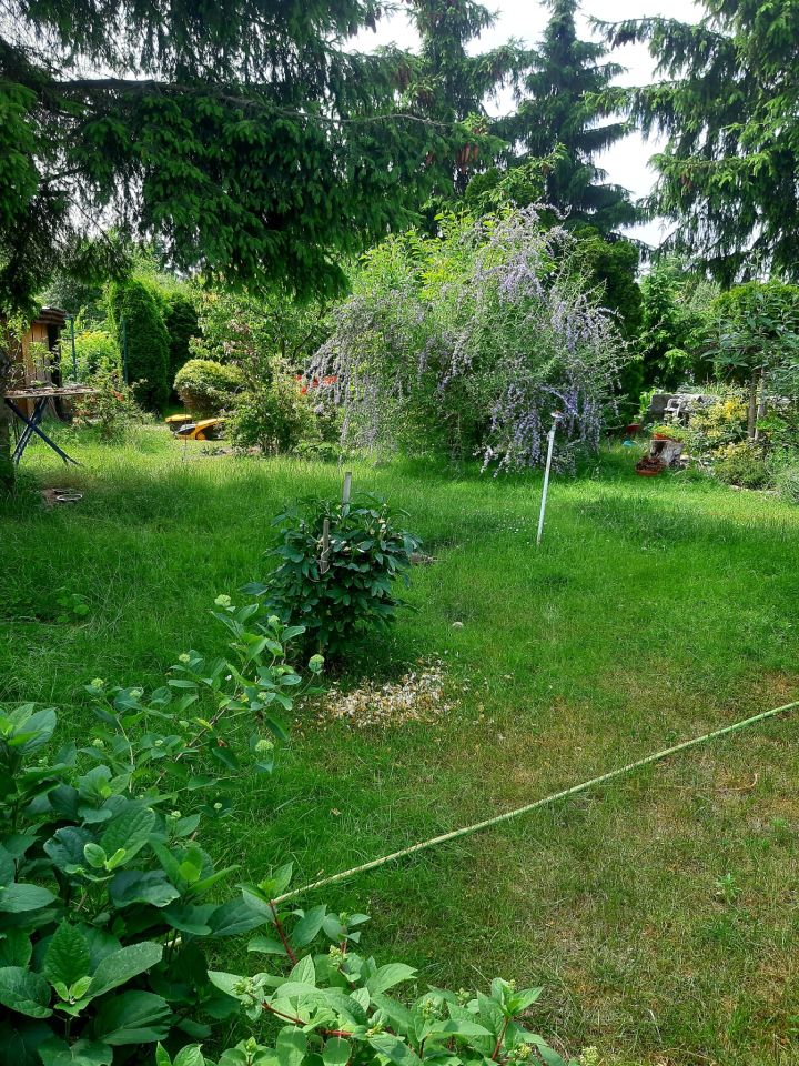 Działka rod Poznań Smochowice, ul. Wichrowa. Zdjęcie 8