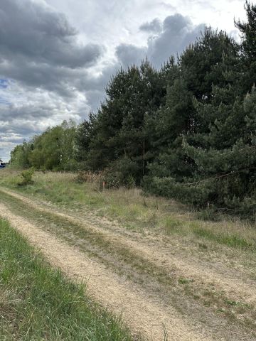 Działka rolno-budowlana Rogoźno, ul. Brzozowa. Zdjęcie 5