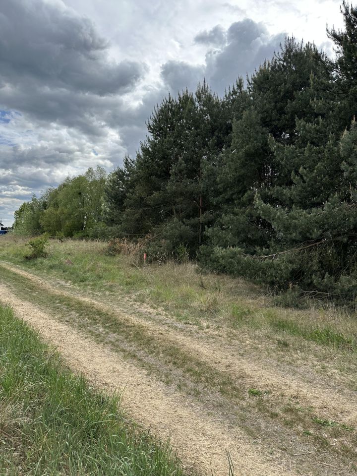 Działka rolno-budowlana Rogoźno, ul. Brzozowa. Zdjęcie 4