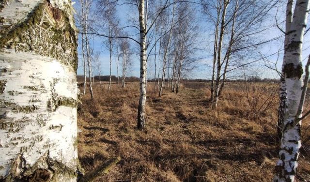 Działka budowlana Hermanów. Zdjęcie 1