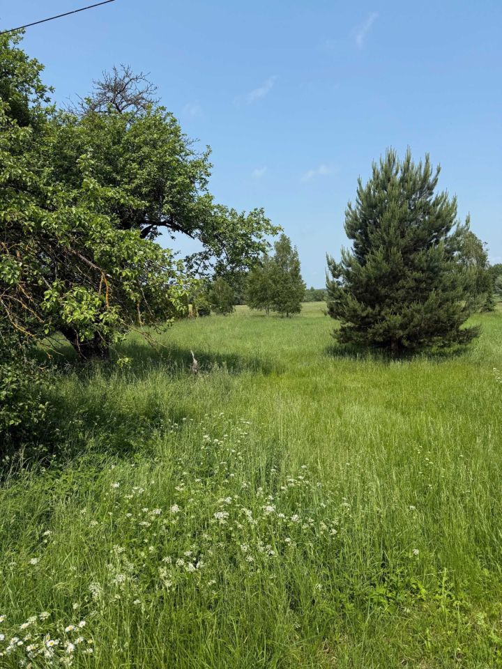 Działka budowlana Wólka Tarnowska