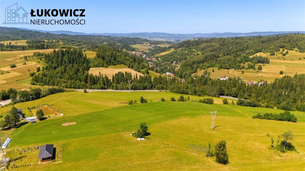 Działka leśna Pieniążkowice. Zdjęcie 16