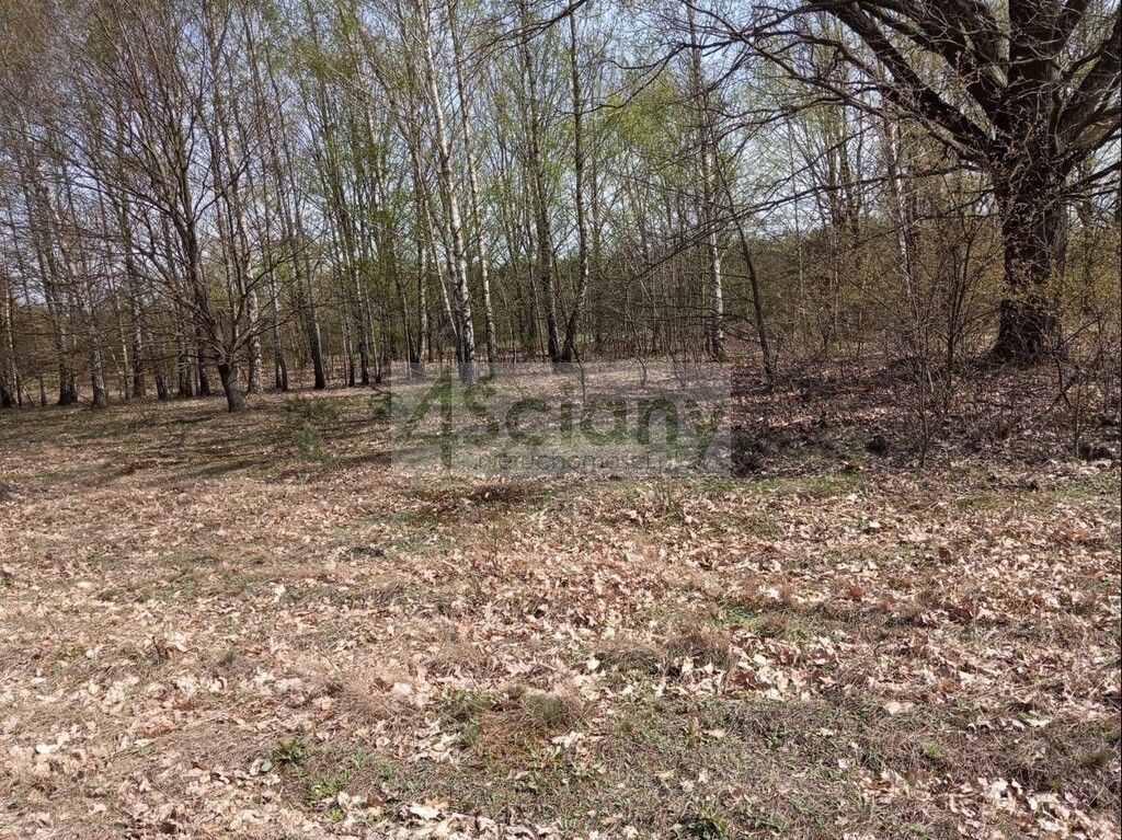 Działka budowlana Jasienica. Zdjęcie 17
