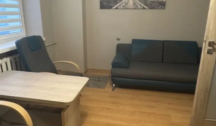 Mieszkanie 1-pokojowe Brzeziny