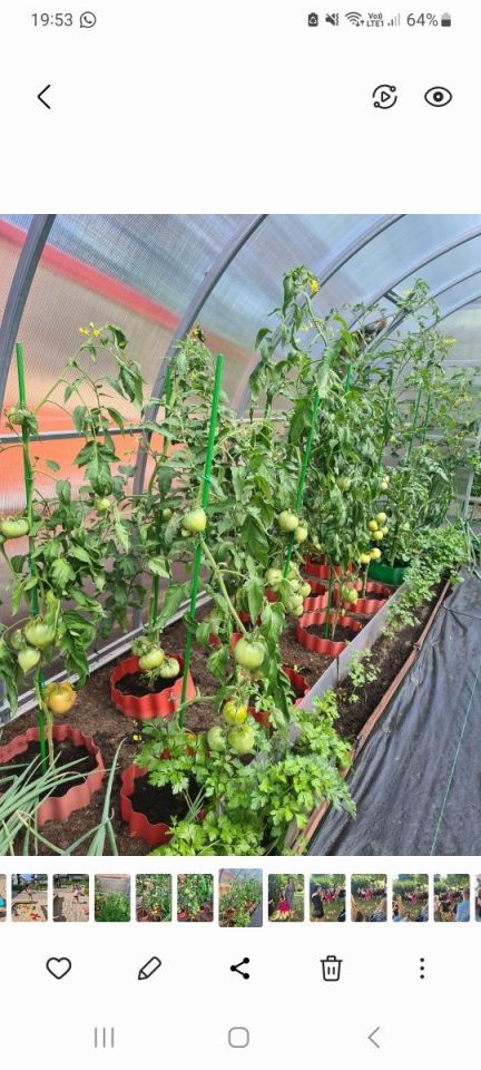 Działka rod Szczecin Dąbie, ul. Szybowcowa. Zdjęcie 7