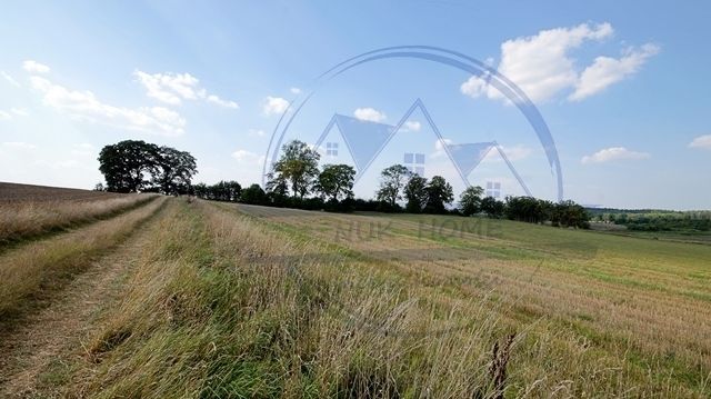 Działka budowlana Czarne Dolne. Zdjęcie 5