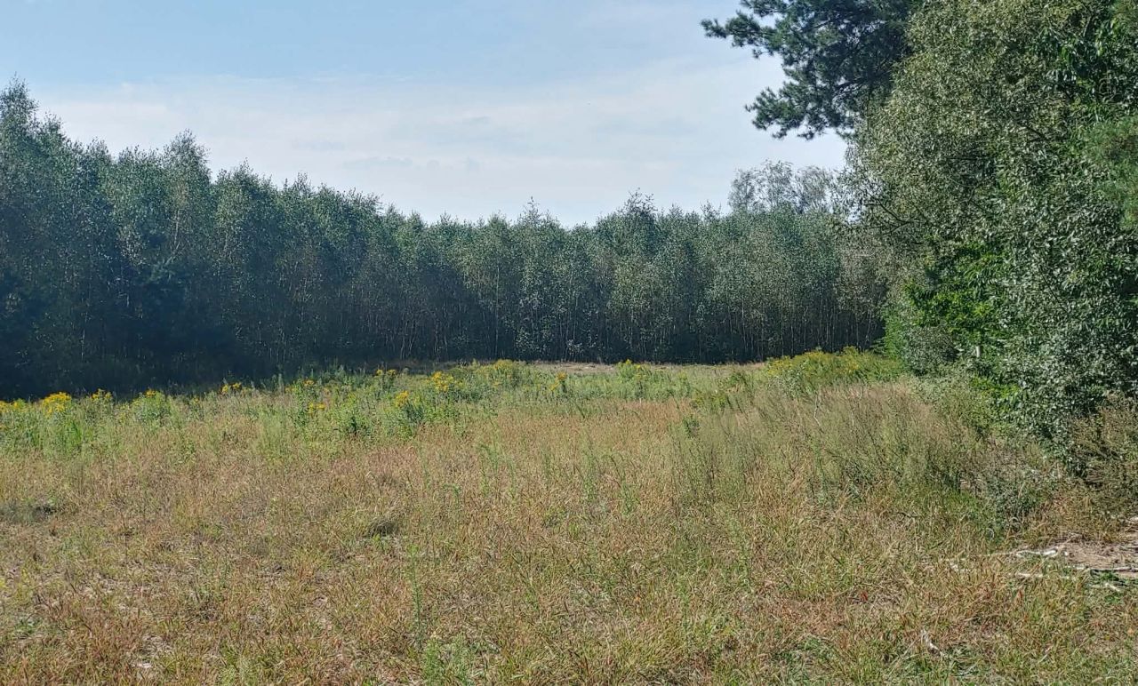 Działka budowlana Wilchta. Zdjęcie 3