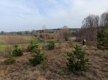 Działka budowlana Szyldak, ul. Szkolna. Zdjęcie 2