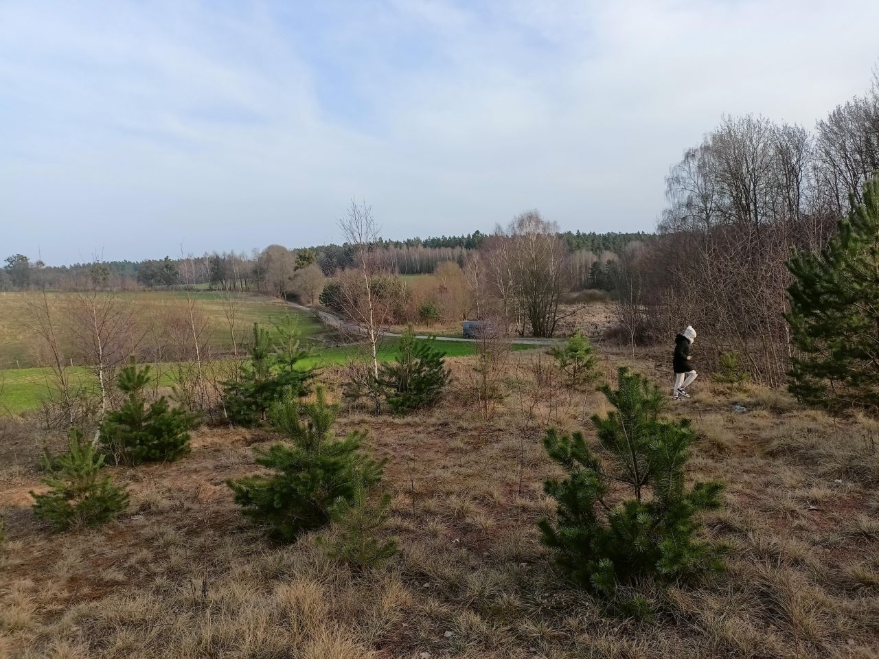 Działka budowlana Szyldak, ul. Szkolna. Zdjęcie 3