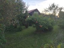 Działka rod Opole, ul. Częstochowska. Zdjęcie 3