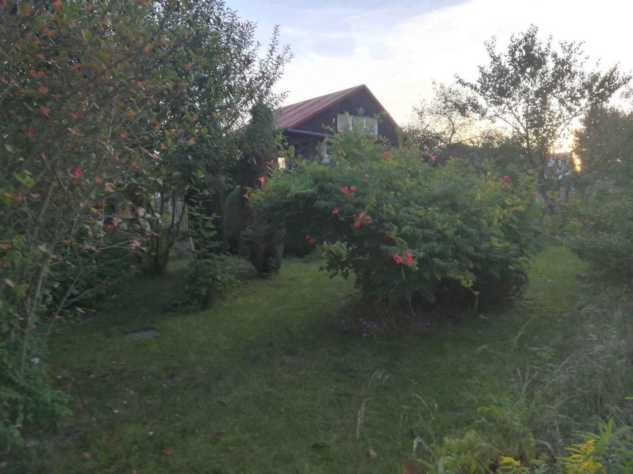 Działka rod Opole, ul. Częstochowska. Zdjęcie 4