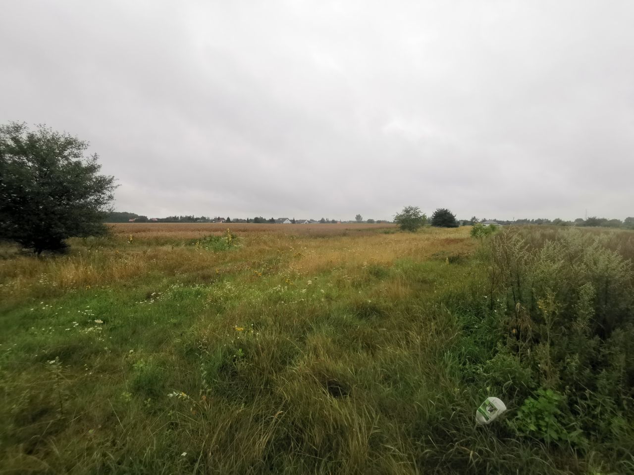 Działka budowlana Suszno, ul. Bazyliowa. Zdjęcie 4