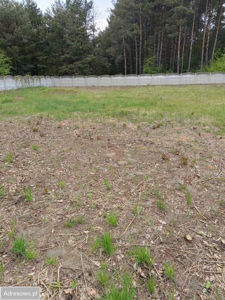 Działka budowlana Bukowa. Zdjęcie 2