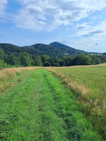 Działka rolno-budowlana Idzików. Zdjęcie 1