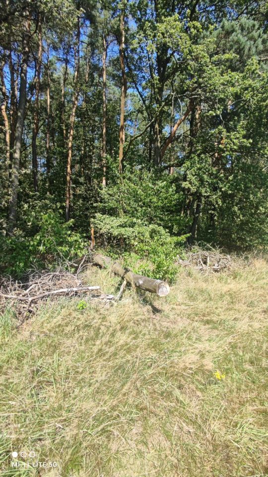 Działka budowlana Bądzyń, ul. Zbigniewa. Zdjęcie 7