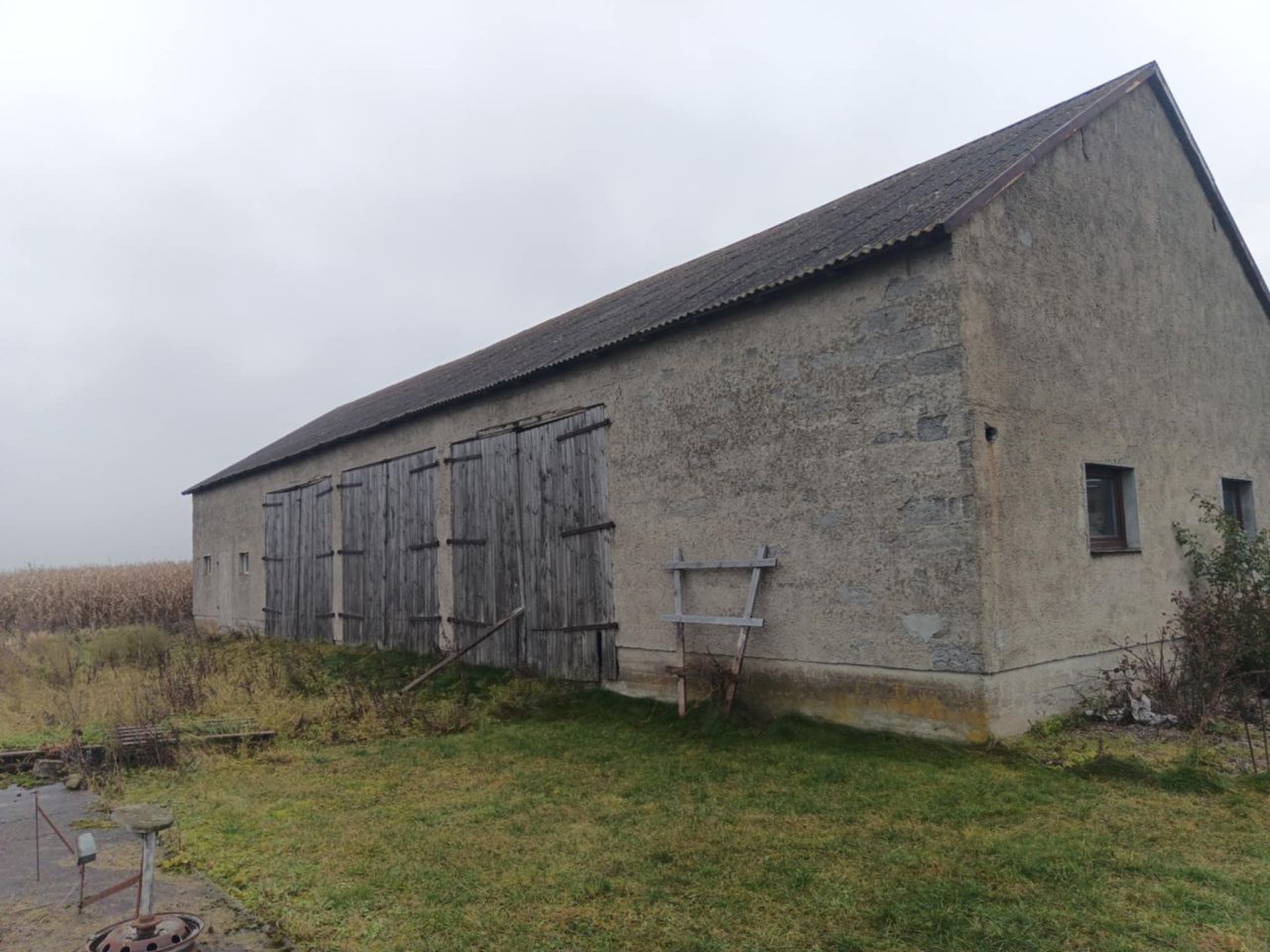 siedlisko Strzygi. Zdjęcie 5