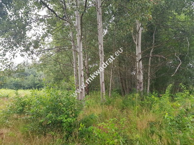 Działka budowlana Terenia. Zdjęcie 7