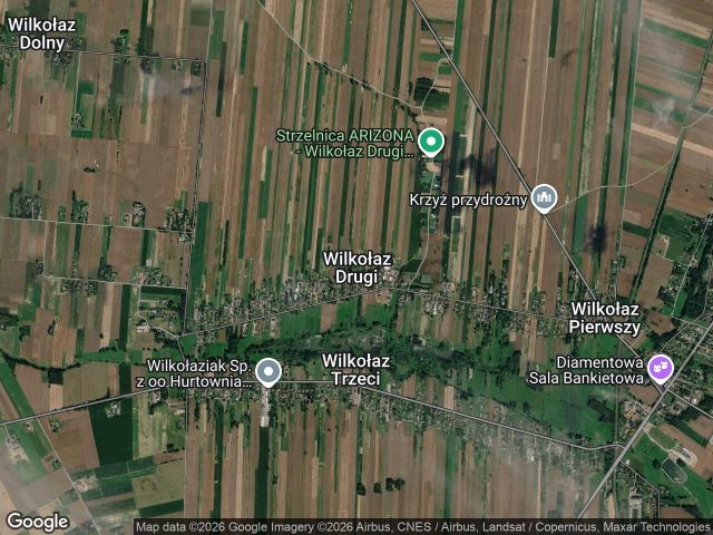 Działka leśna Wilkołaz Drugi. Zdjęcie 1