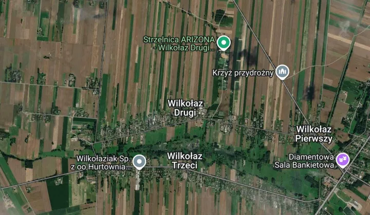 Działka leśna Wilkołaz Drugi