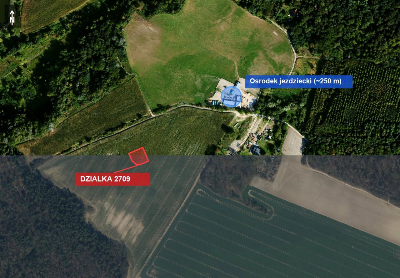 Działka budowlana Nowa Wieś Malborska, nowa wies. Zdjęcie 2