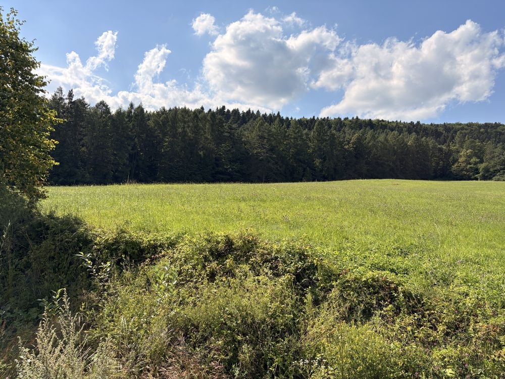 Działka rolno-budowlana Florynka. Zdjęcie 6