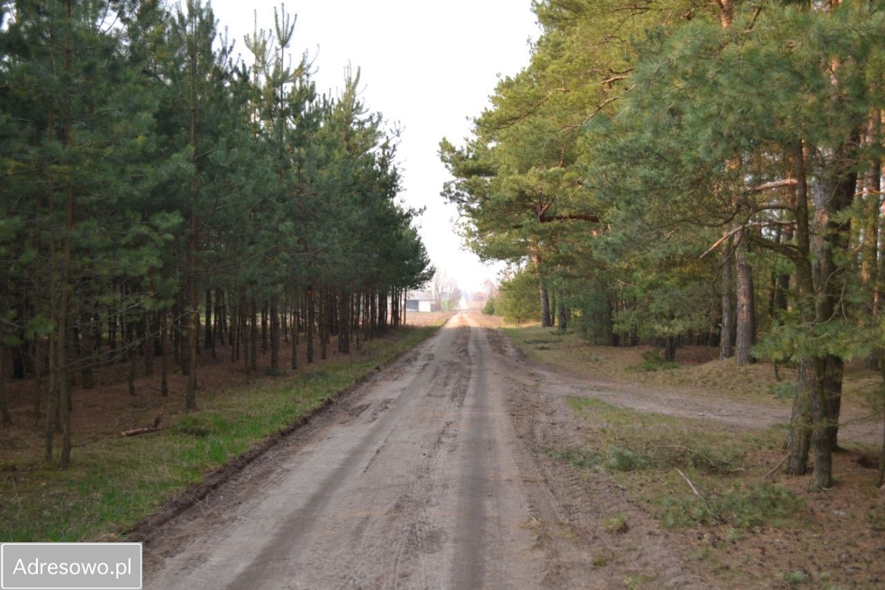 Działka siedliskowa Żeliszew Duży. Zdjęcie 3