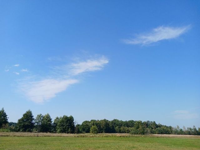 Działka rolna Plebania Wola. Zdjęcie 1