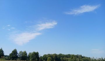 Działka rolna Plebania Wola