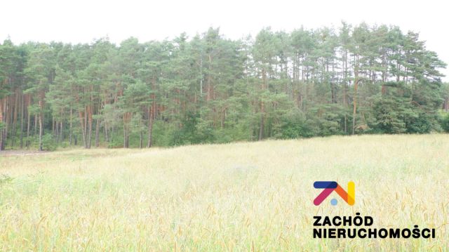 Działka budowlana Przytok. Zdjęcie 3