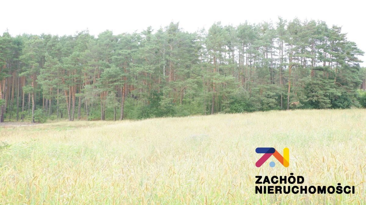 Działka budowlana Przytok. Zdjęcie 3