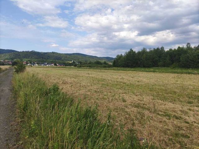 Działka Sanok Olchowce. Zdjęcie 1