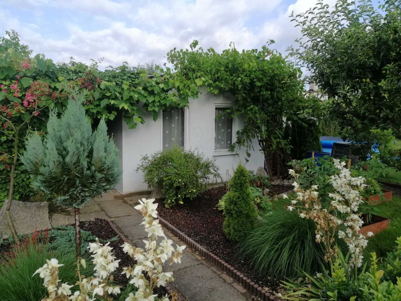 Działka rod Kędzierzyn-Koźle Lenartowice, ul. Nowowiejska