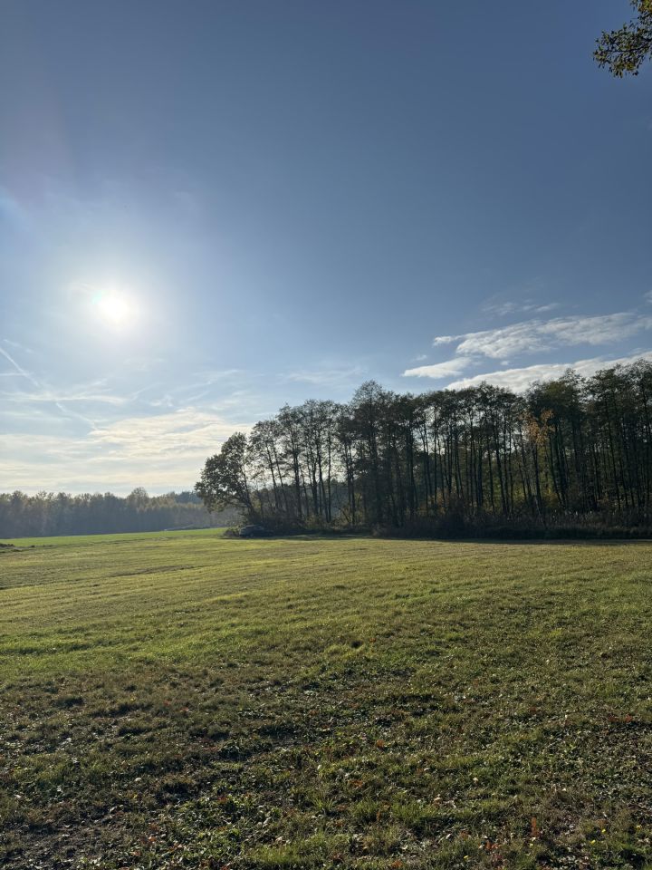 Działka budowlana Budy Ciepielińskie. Zdjęcie 5